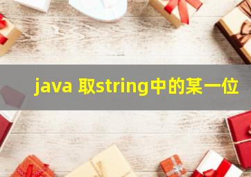 java 取string中的某一位